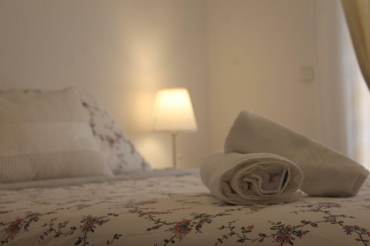 Casa Das Camelias Aveiro Kültér fotó